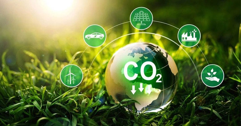 Từ 1/7, mua bán tín chỉ carbon rừng phải thực hiện theo hợp đồng hoặc qua sàn giao dịch