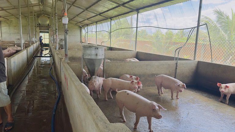 Quỹ tín dụng nhân dân Hòa Khánh: Gần dân để đồng hành