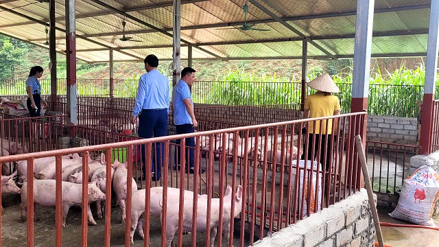 QUỸ TÍN DỤNG NHÂN DÂN THỊ TRẤN YÊN BÌNH: Điểm tựa tài chính của người dân địa phương
