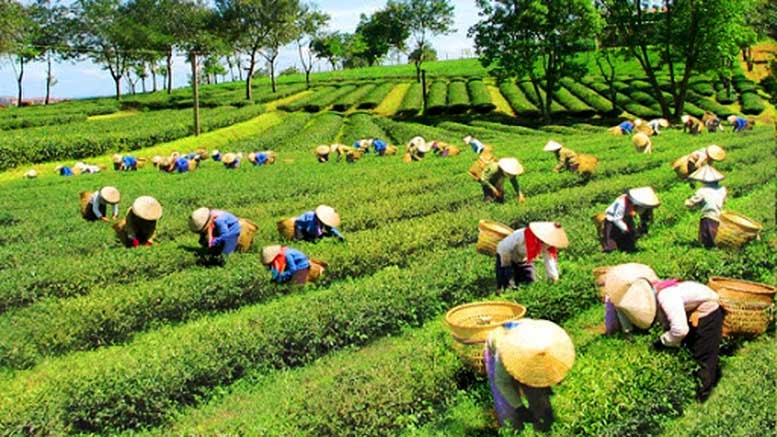 Tạo điều kiện để đồng bào dân tộc thiểu số cùng đất nước bước vào kỷ nguyên phát triển mới