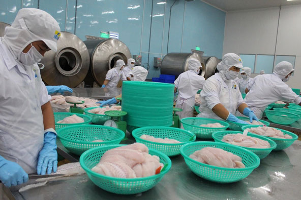 Cá tra Việt Nam chính thức xuất hiện trong thực đơn của chuỗi Kura Sushi tại Nhật Bản